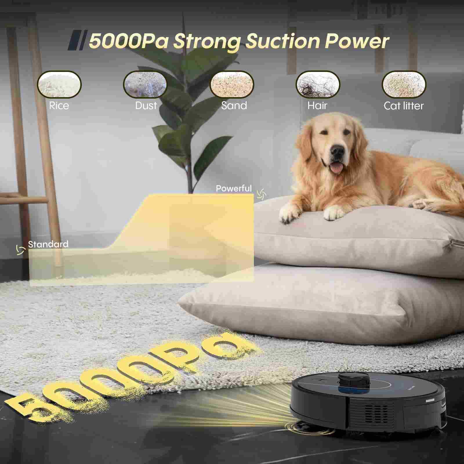 G6 Pro 套图 (5).jpg